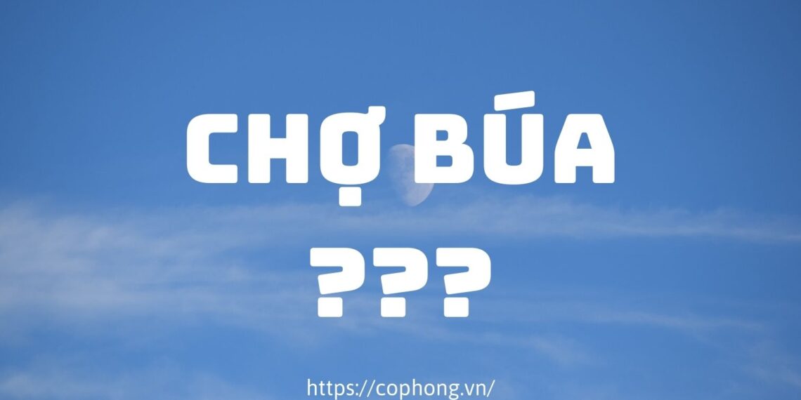 Nghĩa của từ chợ búa