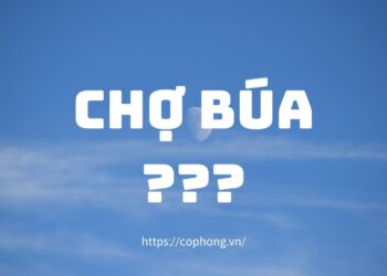 Nghĩa của từ chợ búa