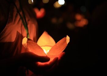 678b24780ae8c8b691f9