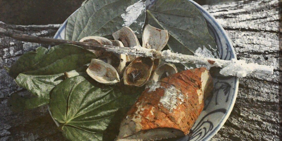 Z4652682380991 6f24caffa1a0acad5bb9a6535df751b8