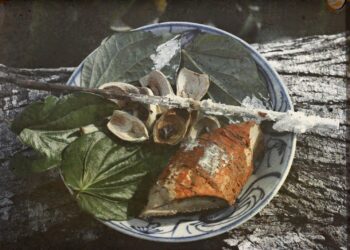 Z4652682380991 6f24caffa1a0acad5bb9a6535df751b8